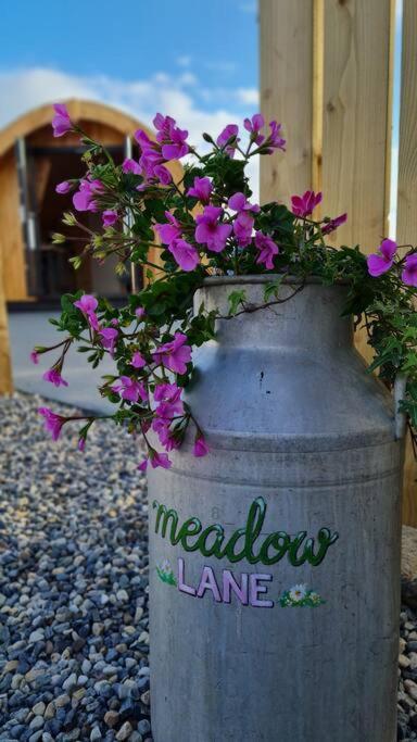 Meadow Lane Apartment Sligo Bagian luar foto