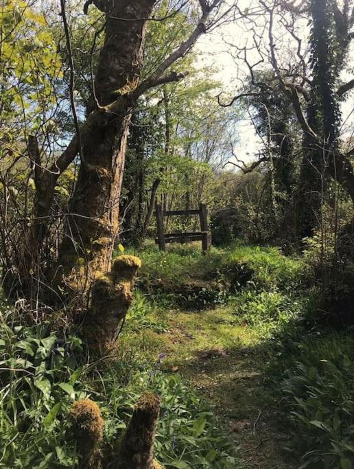 Meadow Lane Apartment Sligo Bagian luar foto